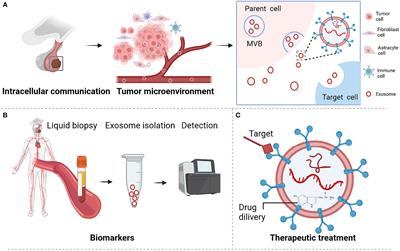 Exosomal RNAs in the development and treatment of pituitary adenomas